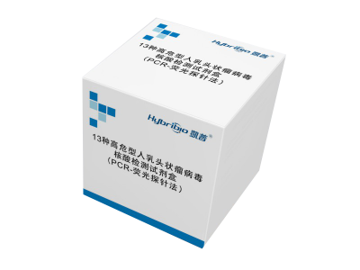 13种高危型人乳头状瘤病毒核酸检测试剂盒（PCR-荧光探针法）