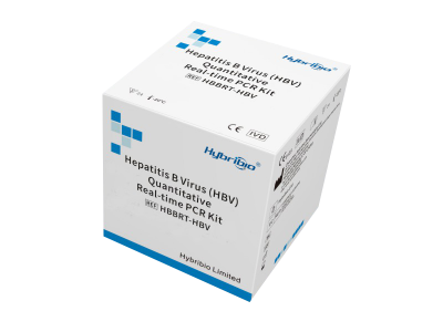 Virus Hepatitis B Kit de PCR en tiempo real